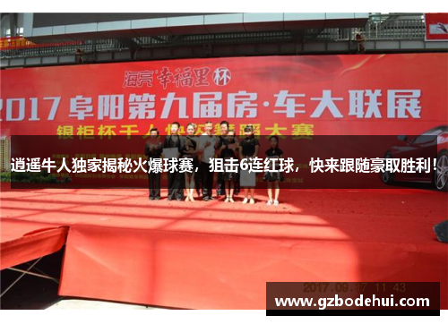 逍遥牛人独家揭秘火爆球赛，狙击6连红球，快来跟随豪取胜利！